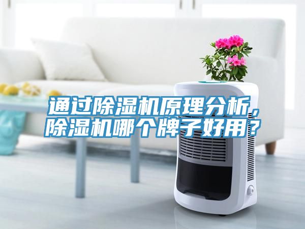 通過除濕機原理分析，除濕機哪個牌子好用？