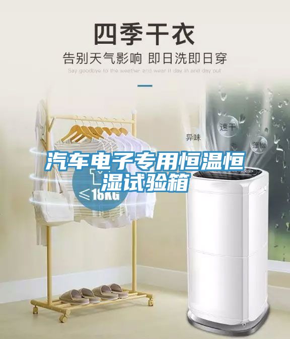 汽車(chē)電子專用恒溫恒濕試驗(yàn)箱