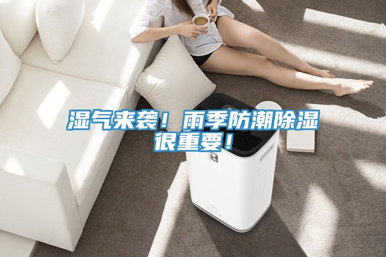 濕氣來襲！雨季防潮除濕很重要！