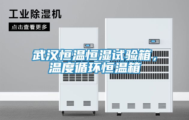 武漢恒溫恒濕試驗(yàn)箱，溫度循環(huán)恒溫箱