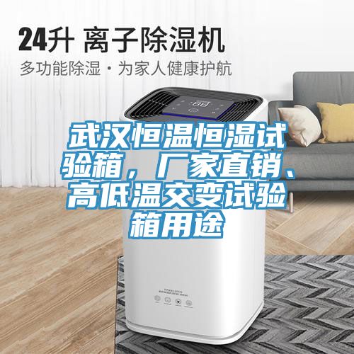 武漢恒溫恒濕試驗(yàn)箱，廠家直銷(xiāo)、高低溫交變?cè)囼?yàn)箱用途