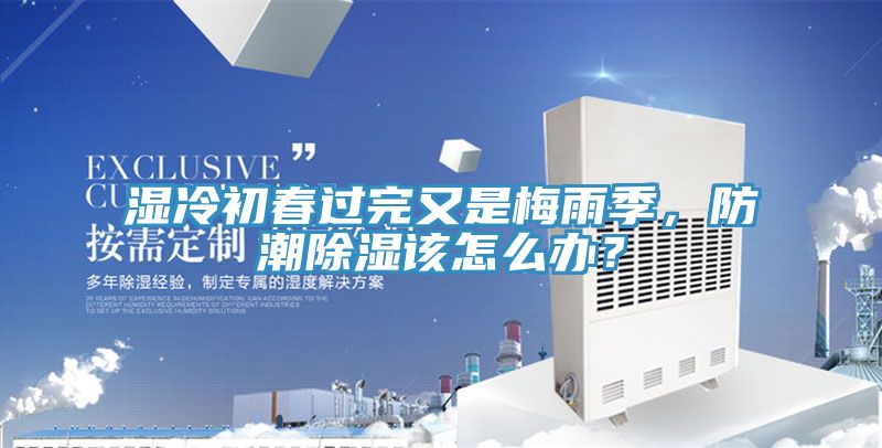 濕冷初春過完又是梅雨季，防潮除濕該怎么辦？