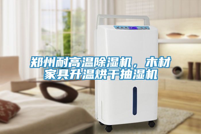 鄭州耐高溫除濕機，木材家具升溫烘干抽濕機