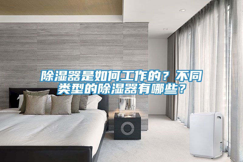 除濕器是如何工作的？不同類型的除濕器有哪些？