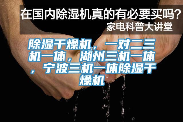 除濕干燥機，一對二三機一體，湖州三機一體，寧波三機一體除濕干燥機