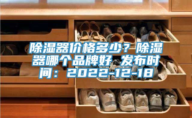 除濕器價格多少？除濕器哪個品牌好 發(fā)布時間：2022-12-18