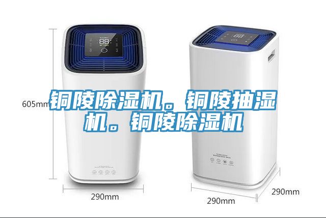 銅陵除濕機。銅陵抽濕機。銅陵除濕機