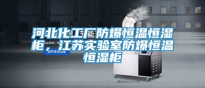 河北化工廠防爆恒溫恒濕柜，江蘇實(shí)驗(yàn)室防爆恒溫恒濕柜