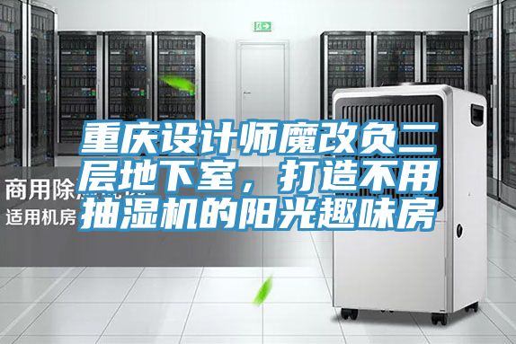 重慶設計師魔改負二層地下室，打造不用抽濕機的陽光趣味房