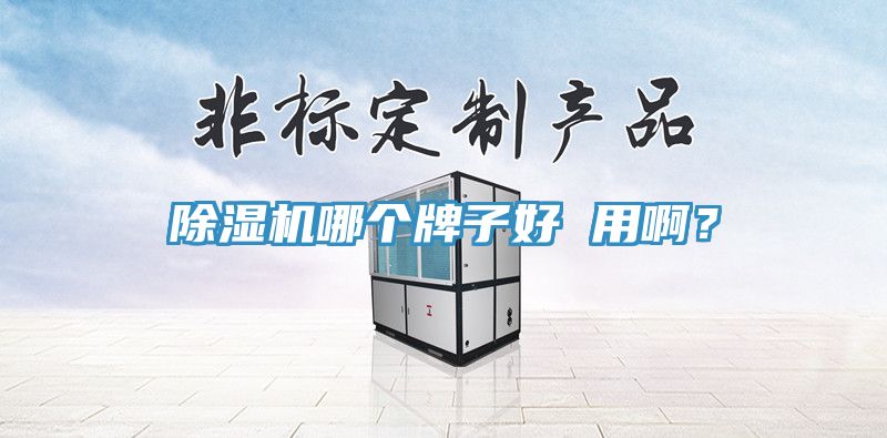 除濕機(jī)哪個(gè)牌子好 用?。?></div>
								<div   id=