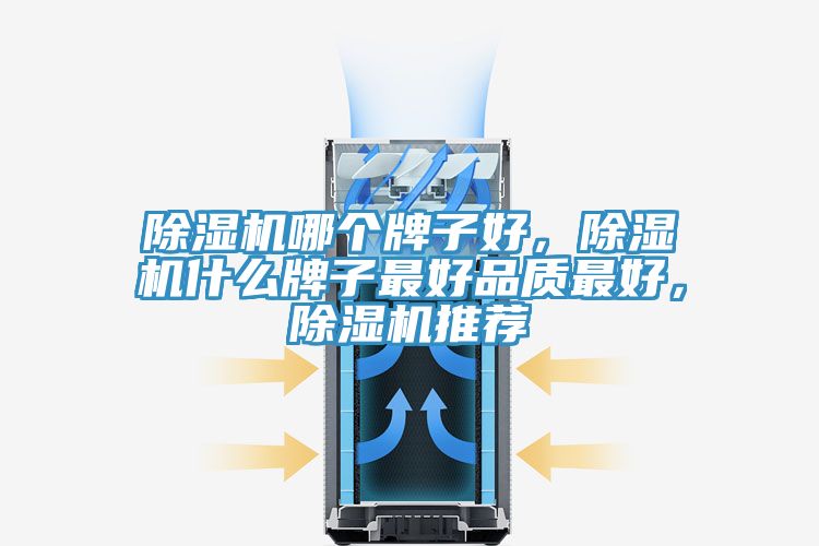 除濕機(jī)哪個(gè)牌子好，除濕機(jī)什么牌子最好品質(zhì)最好，除濕機(jī)推薦