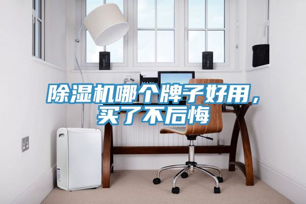 除濕機(jī)哪個(gè)牌子好用，買(mǎi)了不后悔