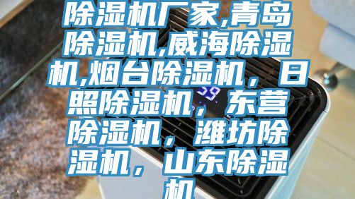 除濕機(jī)廠家,青島除濕機(jī),威海除濕機(jī),煙臺(tái)除濕機(jī)，日照除濕機(jī)，東營(yíng)除濕機(jī)，濰坊除濕機(jī)，山東除濕機(jī)