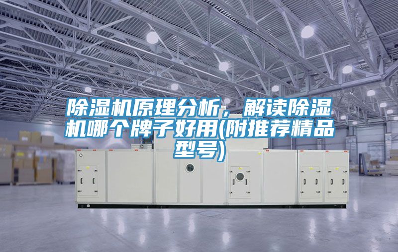 除濕機(jī)原理分析，解讀除濕機(jī)哪個(gè)牌子好用(附推薦精品型號(hào))