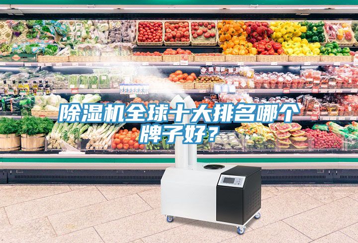 除濕機全球十大排名哪個牌子好？