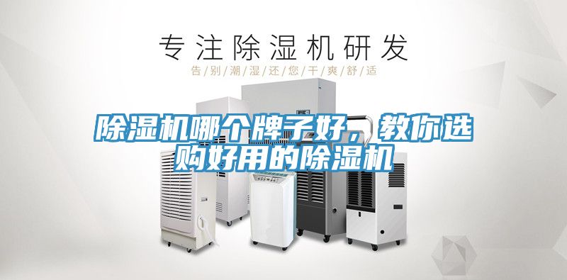 除濕機(jī)哪個(gè)牌子好，教你選購(gòu)好用的除濕機(jī)