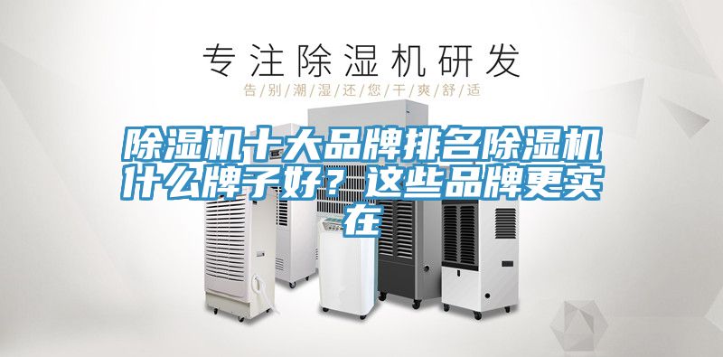 除濕機(jī)十大品牌排名除濕機(jī)什么牌子好？這些品牌更實(shí)在