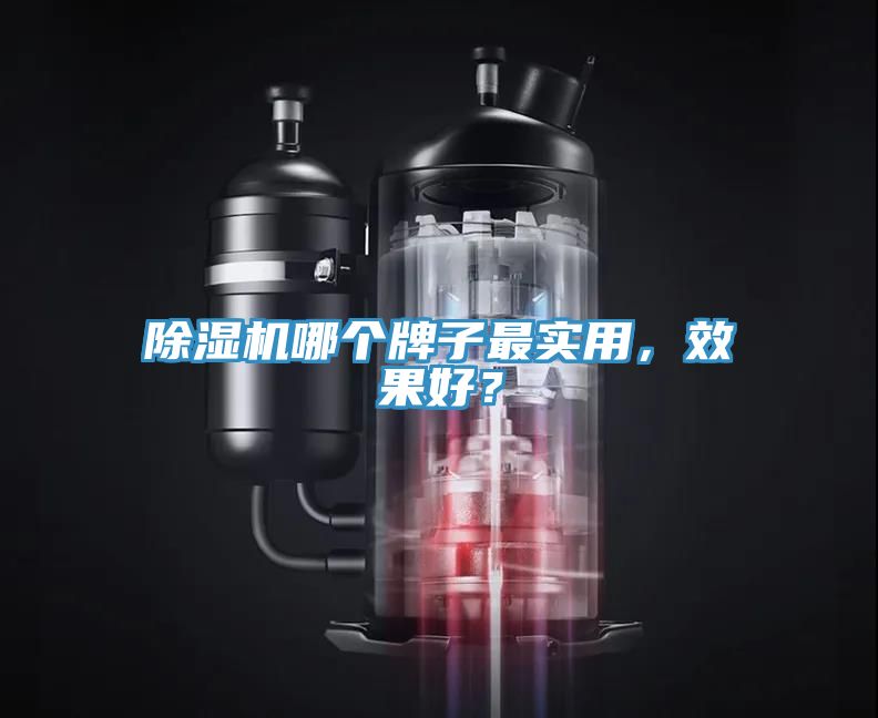 除濕機(jī)哪個(gè)牌子最實(shí)用，效果好？
