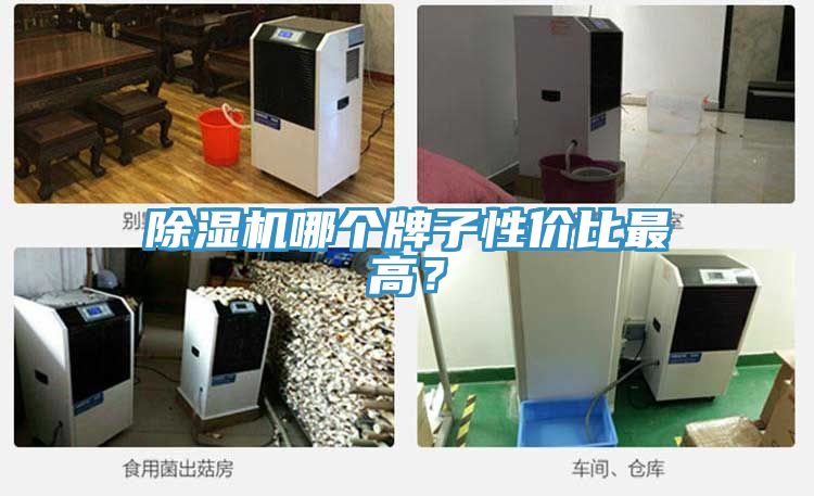 除濕機(jī)哪個(gè)牌子性價(jià)比最高？