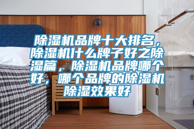 除濕機(jī)品牌十大排名，除濕機(jī)什么牌子好之除濕篇，除濕機(jī)品牌哪個(gè)好，哪個(gè)品牌的除濕機(jī)除濕效果好