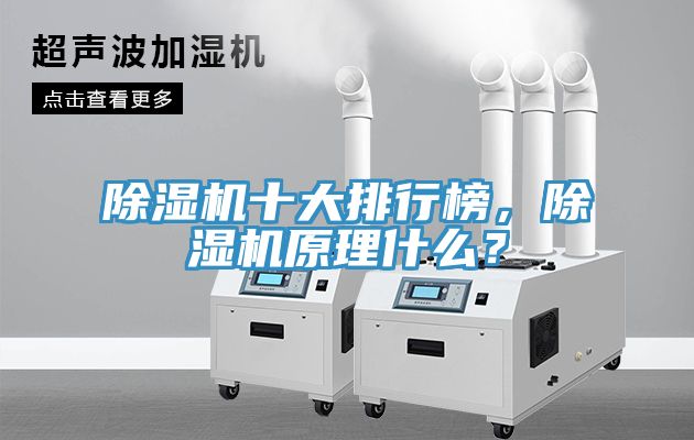 除濕機十大排行榜，除濕機原理什么？