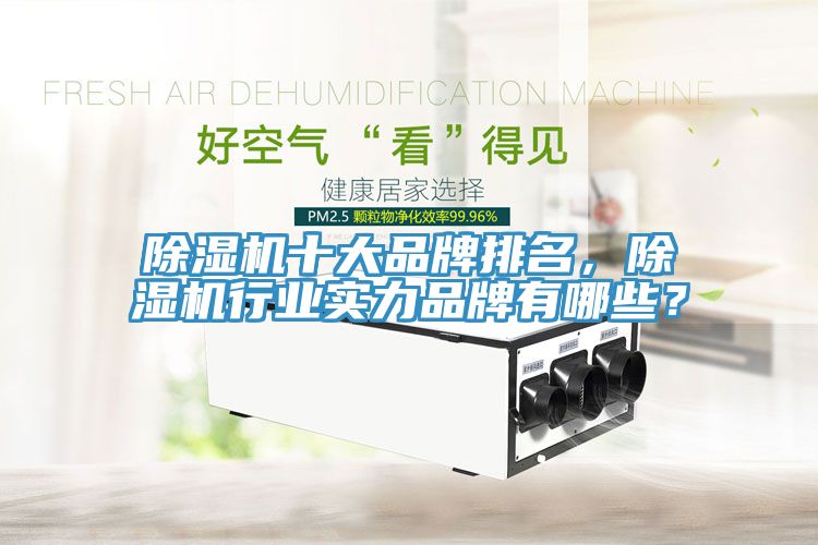 除濕機(jī)十大品牌排名，除濕機(jī)行業(yè)實(shí)力品牌有哪些？