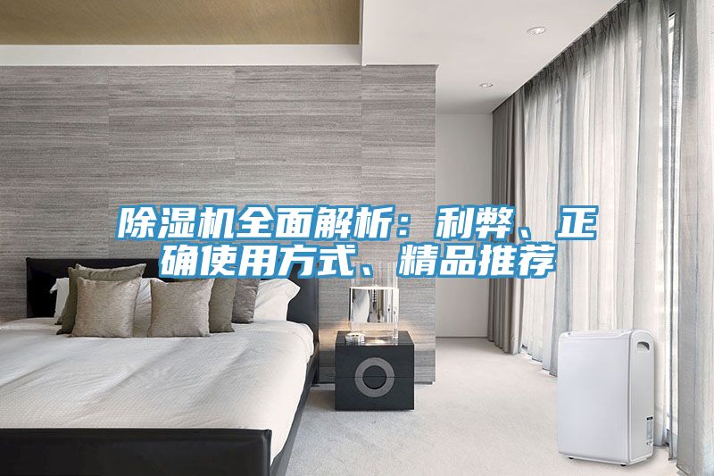 除濕機全面解析：利弊、正確使用方式、精品推薦