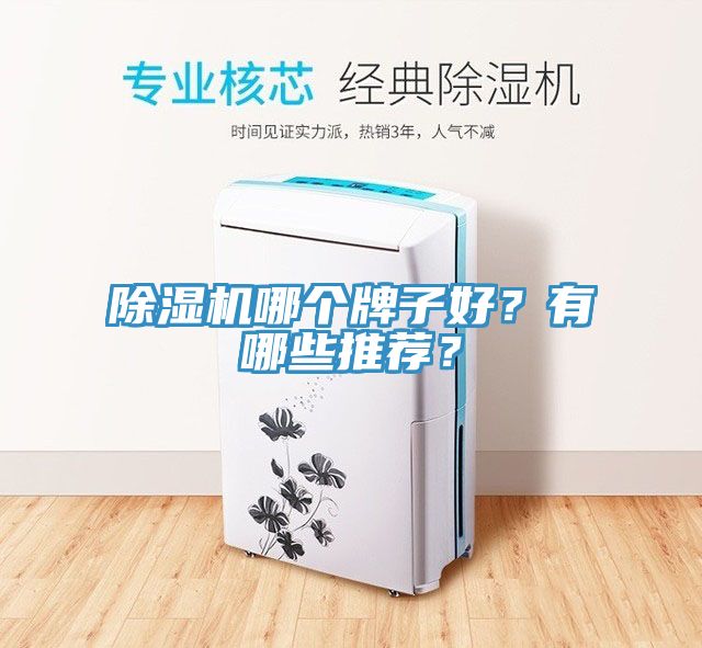 除濕機(jī)哪個(gè)牌子好？有哪些推薦？