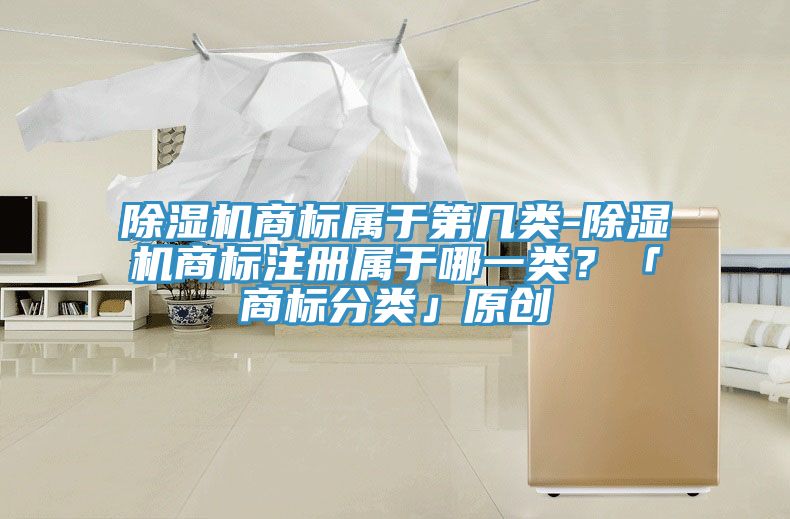 除濕機(jī)商標(biāo)屬于第幾類(lèi)-除濕機(jī)商標(biāo)注冊(cè)屬于哪一類(lèi)？「商標(biāo)分類(lèi)」原創(chuàng)