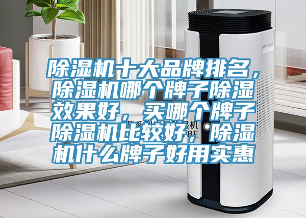 除濕機(jī)十大品牌排名，除濕機(jī)哪個(gè)牌子除濕效果好，買哪個(gè)牌子除濕機(jī)比較好，除濕機(jī)什么牌子好用實(shí)惠