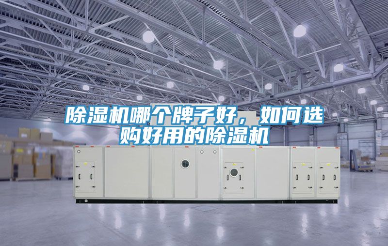 除濕機(jī)哪個(gè)牌子好，如何選購(gòu)好用的除濕機(jī)
