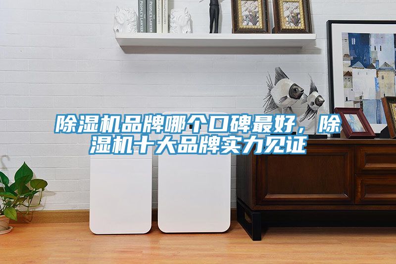 除濕機品牌哪個口碑最好，除濕機十大品牌實力見證