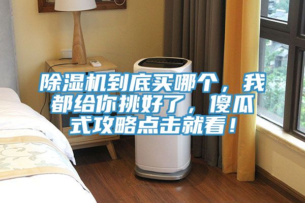 除濕機到底買哪個，我都給你挑好了，傻瓜式攻略點擊就看！
