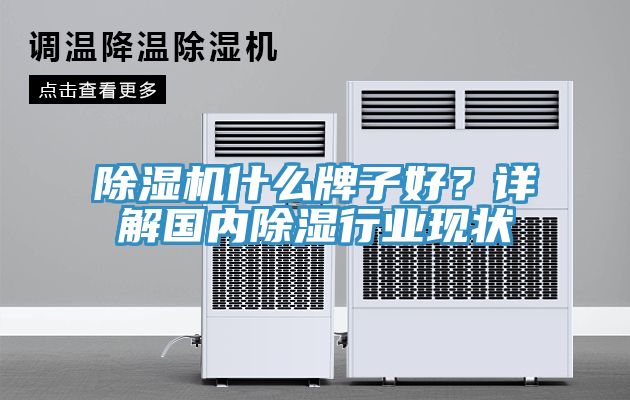 除濕機什么牌子好？詳解國內(nèi)除濕行業(yè)現(xiàn)狀