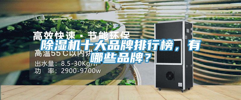 除濕機(jī)十大品牌排行榜，有哪些品牌？