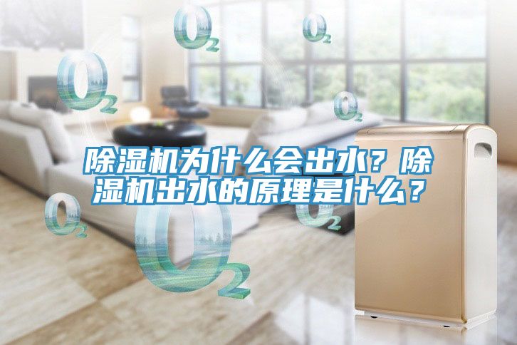 除濕機(jī)為什么會(huì)出水？除濕機(jī)出水的原理是什么？