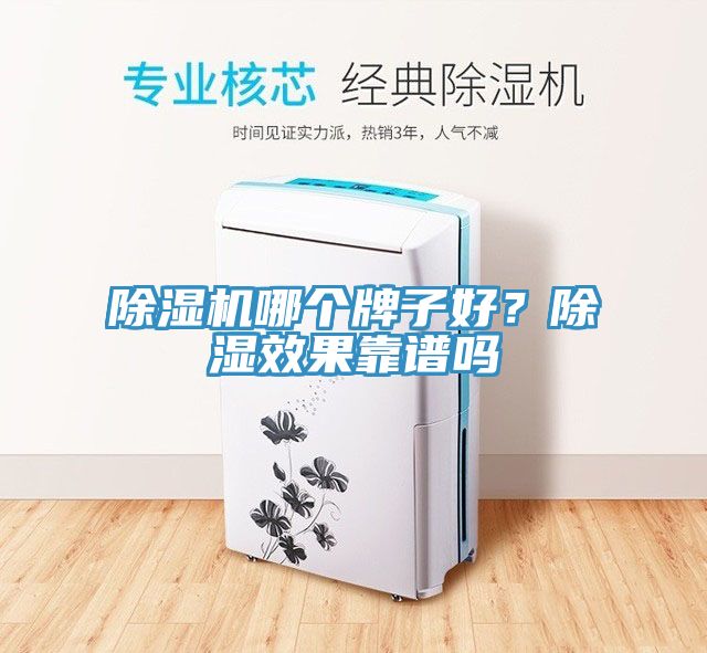 除濕機(jī)哪個(gè)牌子好？除濕效果靠譜嗎