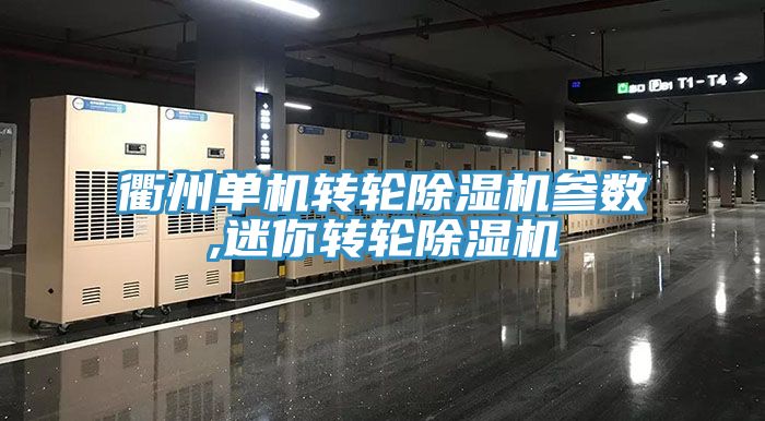 衢州單機轉輪除濕機參數(shù),迷你轉輪除濕機