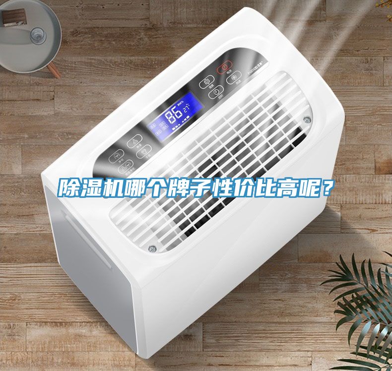除濕機(jī)哪個(gè)牌子性價(jià)比高呢？