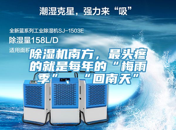 除濕機南方，最頭疼的就是每年的“梅雨季”、“回南天”
