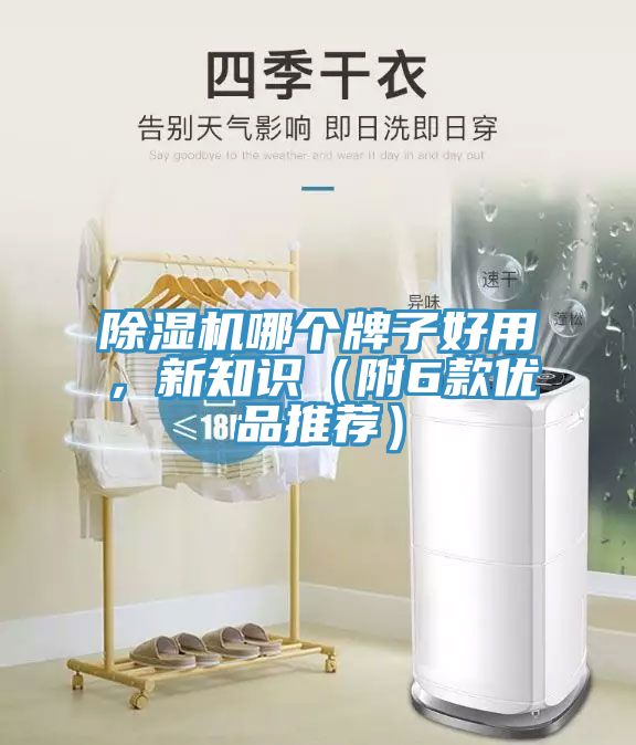 除濕機(jī)哪個(gè)牌子好用，新知識(shí)（附6款優(yōu)品推薦）
