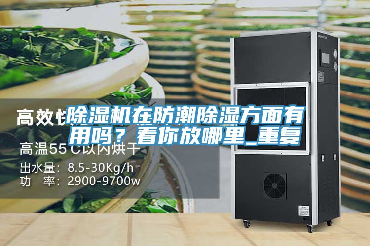 除濕機(jī)在防潮除濕方面有用嗎？看你放哪里_重復(fù)