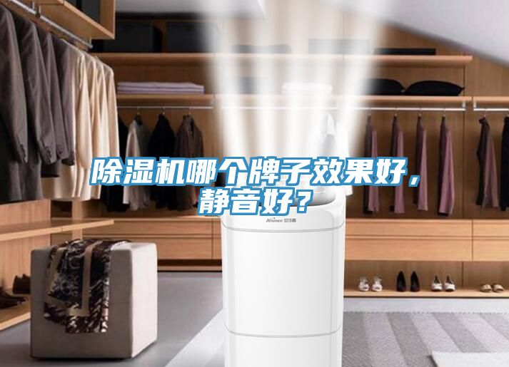 除濕機(jī)哪個(gè)牌子效果好，靜音好？