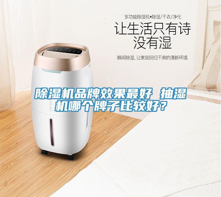 除濕機(jī)品牌效果最好 抽濕機(jī)哪個(gè)牌子比較好？