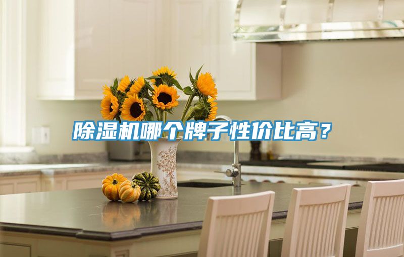 除濕機(jī)哪個(gè)牌子性價(jià)比高？