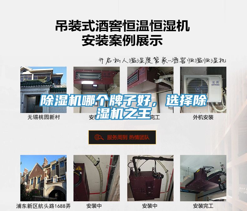 除濕機(jī)哪個(gè)牌子好，選擇除濕機(jī)之王