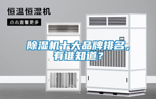 除濕機(jī)十大品牌排名，有誰(shuí)知道？