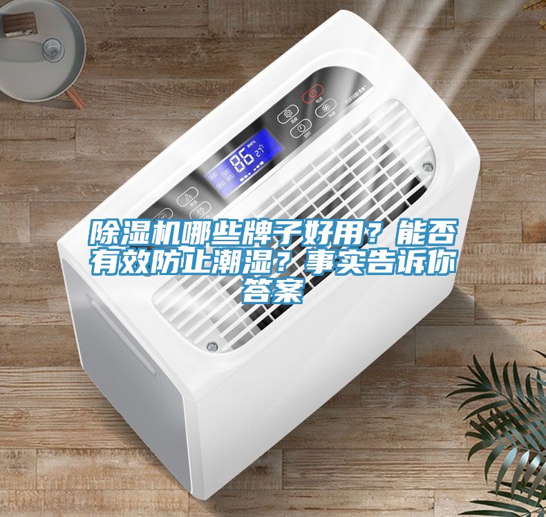 除濕機(jī)哪些牌子好用？能否有效防止潮濕？事實(shí)告訴你答案