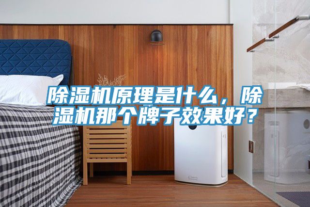 除濕機(jī)原理是什么，除濕機(jī)那個(gè)牌子效果好？