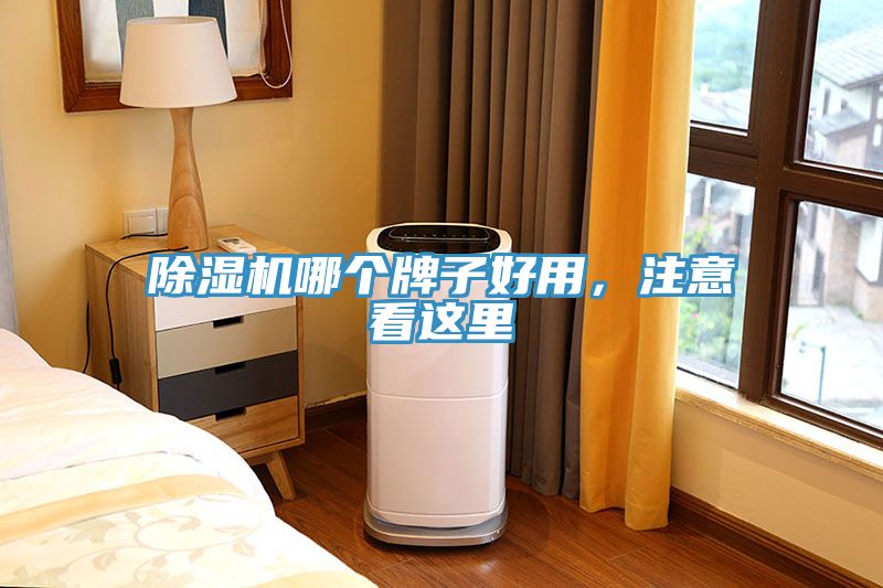 除濕機(jī)哪個(gè)牌子好用，注意看這里
